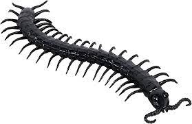 Giant Centipede Prop