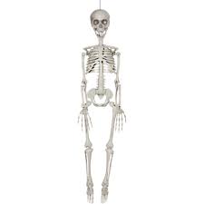 36" Skeleton