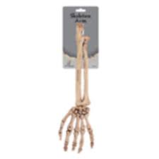 Plastic Skeleton Arm