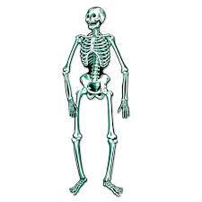Jointed Skeleton Cutouts