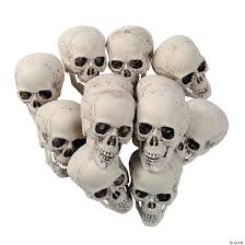 Bag of Skull Heads