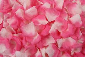 Pink And White Fabric Rose Petals