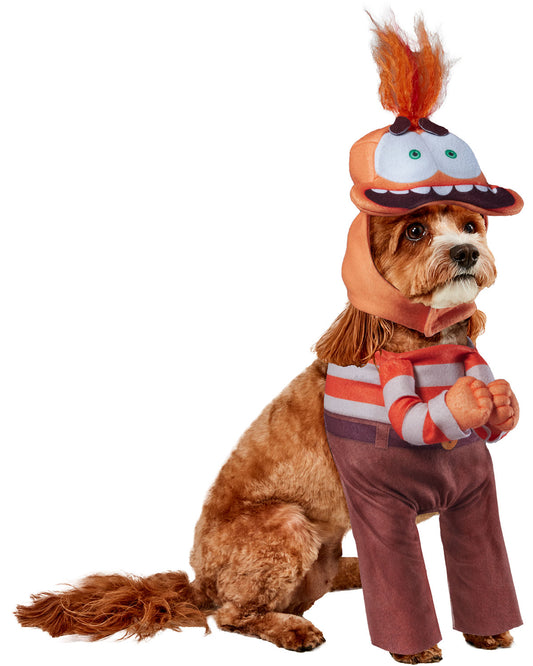 Inside Out Anxiety Pet Costume