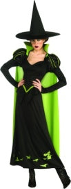 Wizard of Oz Wicked Witch Adult Costume