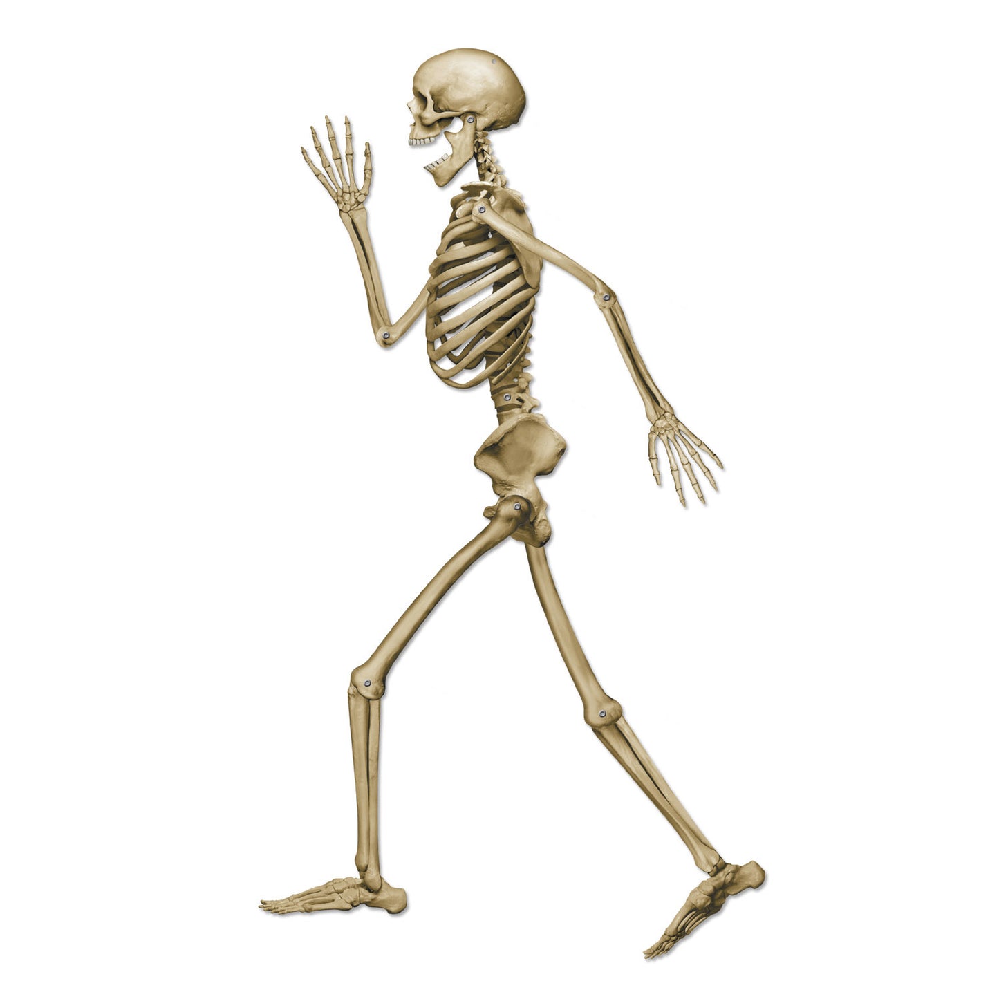 CUTOUT - SKELETON PROFILE PETE