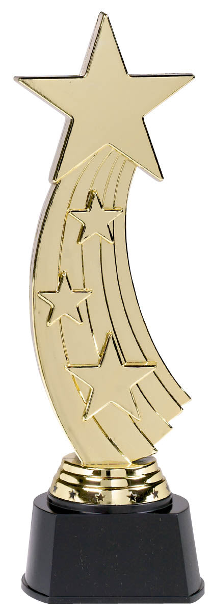 SHOOTING STAR AWARD