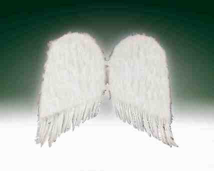 36" White Feather Wings