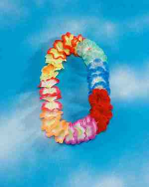 EXTRA LARGE FLOWERS LEI