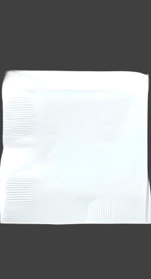 NAPKIN - FROSTY WHITE 100 CT/PKG       BEVERAGE