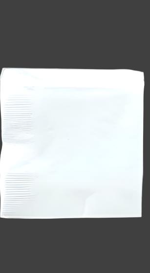 NAPKIN - FROSTY WHITE 100 CT/PKG       LUNCHEON