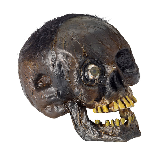 Rotten Skull Prop