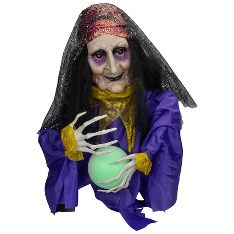 ANIMATED FORTUNE TELLER COUNTER PROP