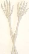 Skeleton Hand Tongs