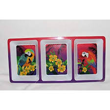 Plastic Parrot Dip Tray