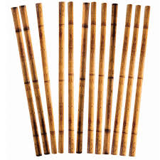 Luau Bamboo Printed Paper Straws