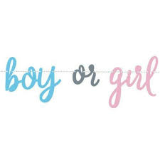GENDER REVEAL SCRIPT BANNER