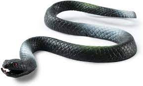 RUBBER SNAKES 24"