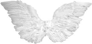 SMALL CLUB FEATHER ANGEL WINGS