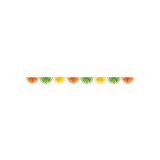 Citrus Fruit Paper Fan Garland