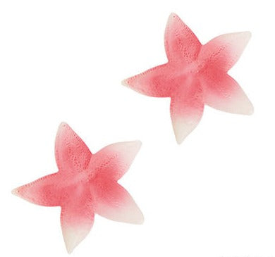 Plastic Starfish